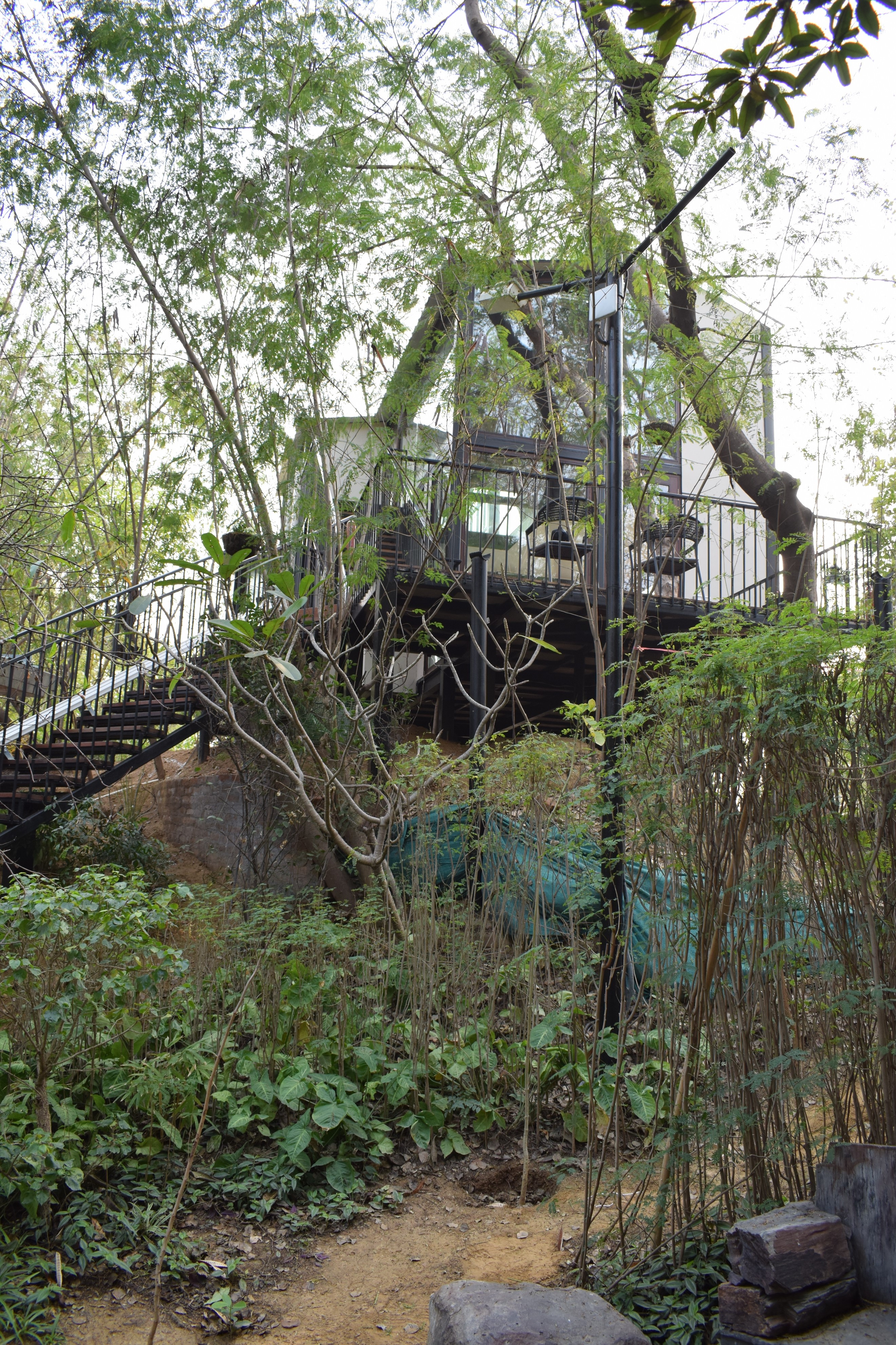 TREE HOUSE AT VASANT KUNJ, DELHI